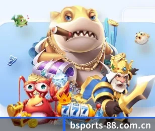 bsport的故事